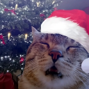 avatar Denis Санстрайк