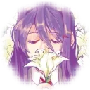 shiisluv