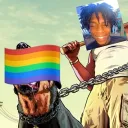 ohitsirvin