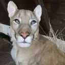 Аватар mr.jack02