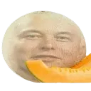 asliceofmelonmusk avatar