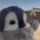 avatar iivy₍⑅ᐢ..ᐢ₎