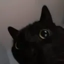 alankk
