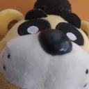 gold3nsp4rky