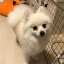 tototo1