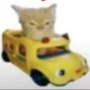 jailtondev