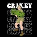 originalsouthafrican avatar