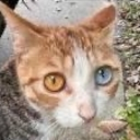 avatar yqat