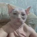 Аватар nyet123