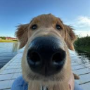 [59thNY(B)] Pvt. Rollo