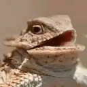 kar_loz321