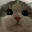 hermorns