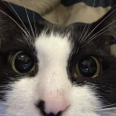 residentevilisamazing3712's Avatar