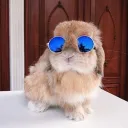 emmy_bun