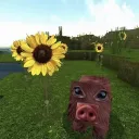 ii_sharp_ii