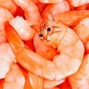 avatar fried shrimp