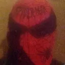 spider2049