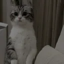 sharmyyy