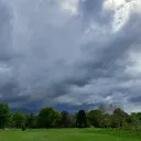 dylan_14945