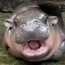 lukalule