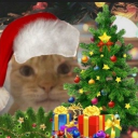 avatar kat ❁ཻུ۪۪♡