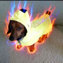 avatar moomin