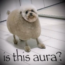 avatar is this aura?