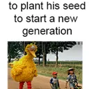 ohdonkey692639