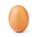 egggang_