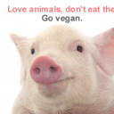 mrj2412#4600's avatar