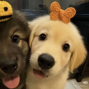 avatar 冰之下雪姬