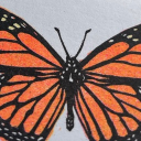 avatar aplasticdesigner