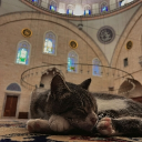 avatar Hasanullah al-Kandaharī