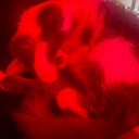 avatar ༒༺Bound༻༒