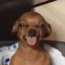 danimemedoza