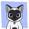 meow_bro