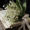 avatar ─ ཐི ⋅ ♰ ⋅ ཋྀ ─