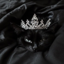 avatar !                         QBerry