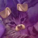kuba.z