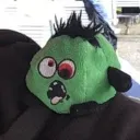 duarndstesnicht