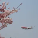 og_aviation