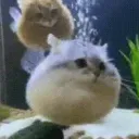 quannnnnnnnnnnnnnnnnnnnnnnnnnn