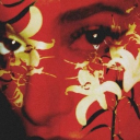 avatar aro