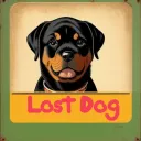 lostdog19