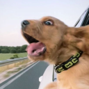 avatar 𝐃𝐄𝐅𝐅𝐘