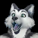 kaanidog
