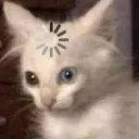 sillykmuj