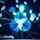 wilytoaplant's Avatar