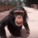 mattzzon1