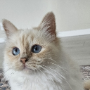 avatar Fleur d’amour